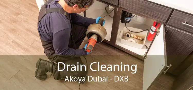 Drain Cleaning Akoya Dubai - DXB
