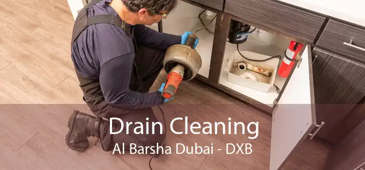 Drain Cleaning Al Barsha Dubai - DXB