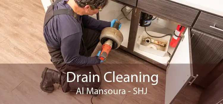 Drain Cleaning Al Mansoura - SHJ