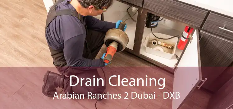 Drain Cleaning Arabian Ranches 2 Dubai - DXB