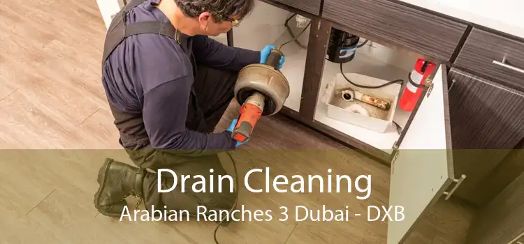Drain Cleaning Arabian Ranches 3 Dubai - DXB