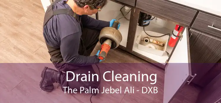 Drain Cleaning The Palm Jebel Ali - DXB