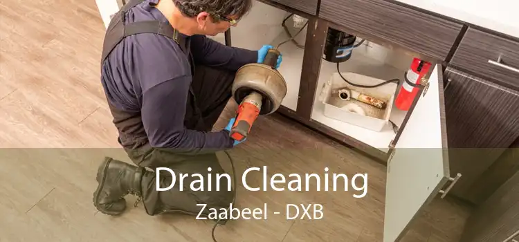Drain Cleaning Zaabeel - DXB