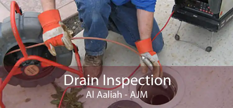 Drain Inspection Al Aaliah - AJM