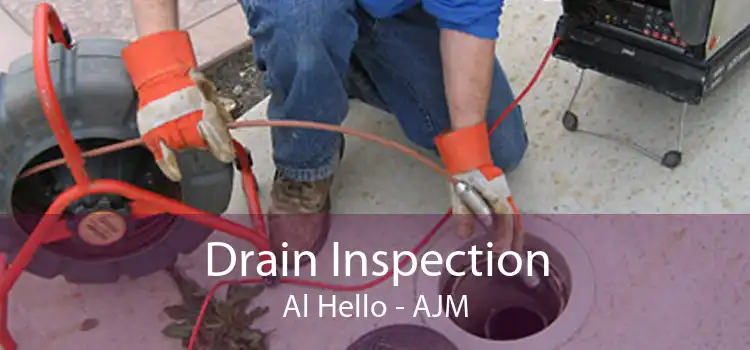 Drain Inspection Al Hello - AJM