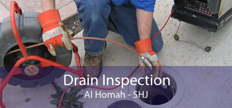 Drain Inspection Al Homah - SHJ