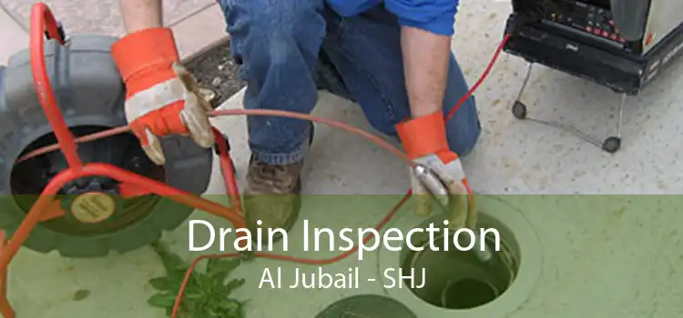 Drain Inspection Al Jubail - SHJ
