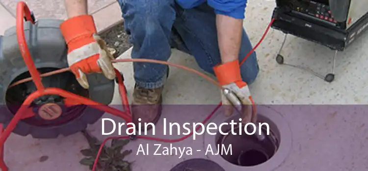 Drain Inspection Al Zahya - AJM