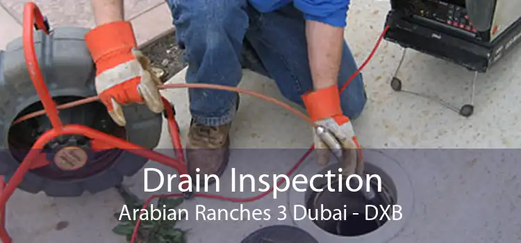 Drain Inspection Arabian Ranches 3 Dubai - DXB