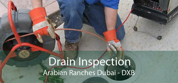 Drain Inspection Arabian Ranches Dubai - DXB