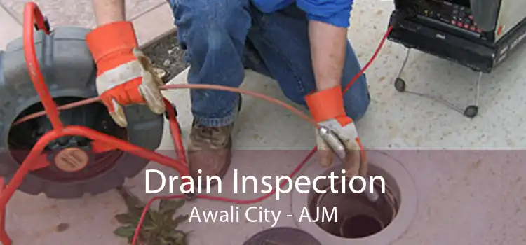Drain Inspection Awali City - AJM