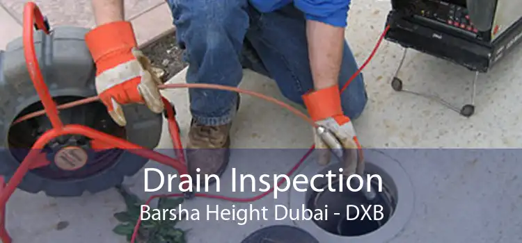 Drain Inspection Barsha Height Dubai - DXB