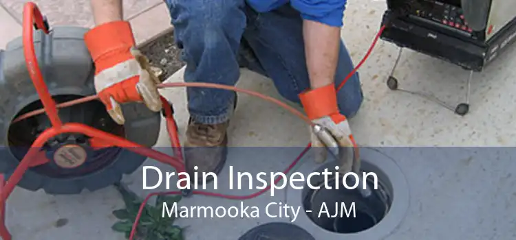 Drain Inspection Marmooka City - AJM
