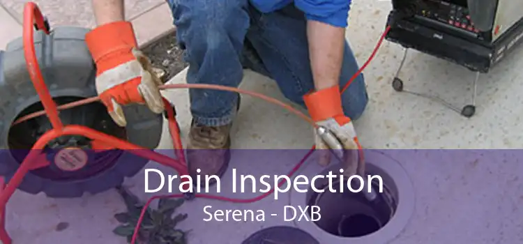 Drain Inspection Serena - DXB