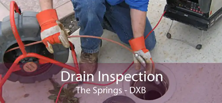 Drain Inspection The Springs - DXB