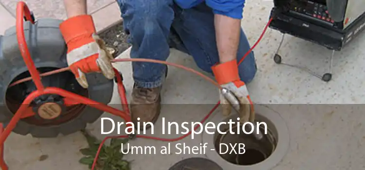 Drain Inspection Umm al Sheif - DXB