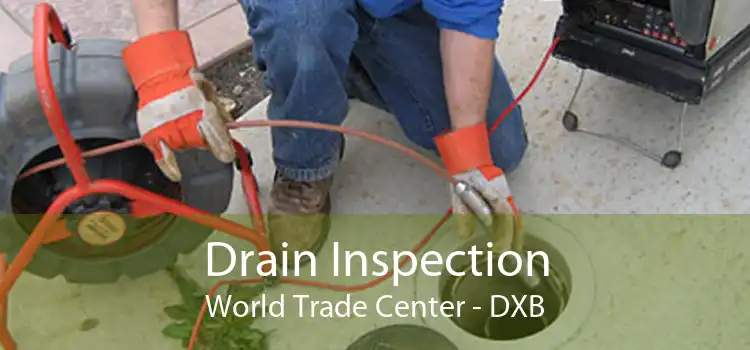 Drain Inspection World Trade Center - DXB