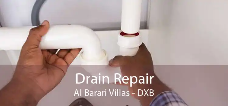 Drain Repair Al Barari Villas - DXB