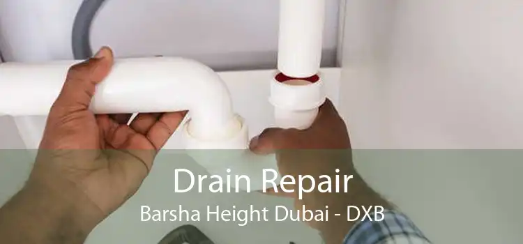 Drain Repair Barsha Height Dubai - DXB