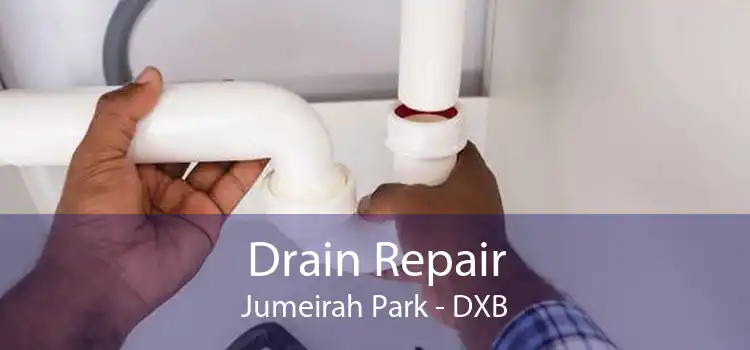 Drain Repair Jumeirah Park - DXB