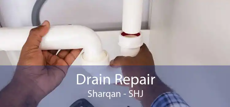 Drain Repair Sharqan - SHJ