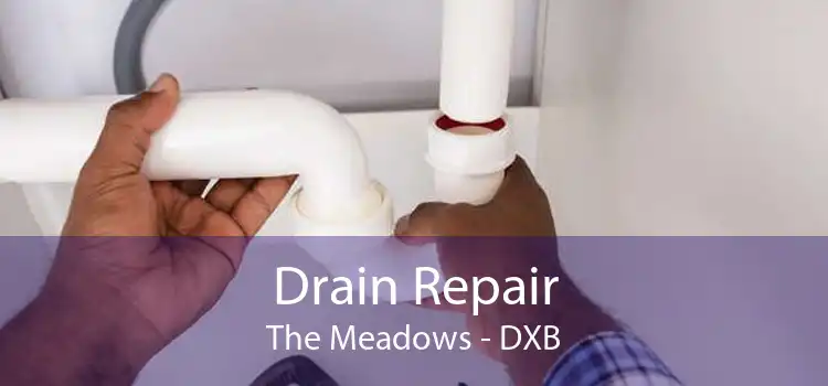Drain Repair The Meadows - DXB