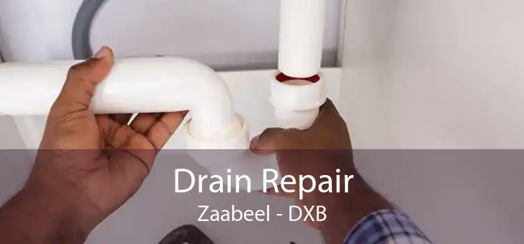 Drain Repair Zaabeel - DXB