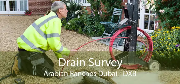 Drain Survey Arabian Ranches Dubai - DXB