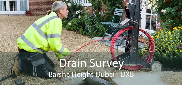 Drain Survey Barsha Height Dubai - DXB