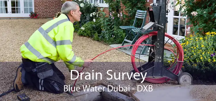 Drain Survey Blue Water Dubai - DXB