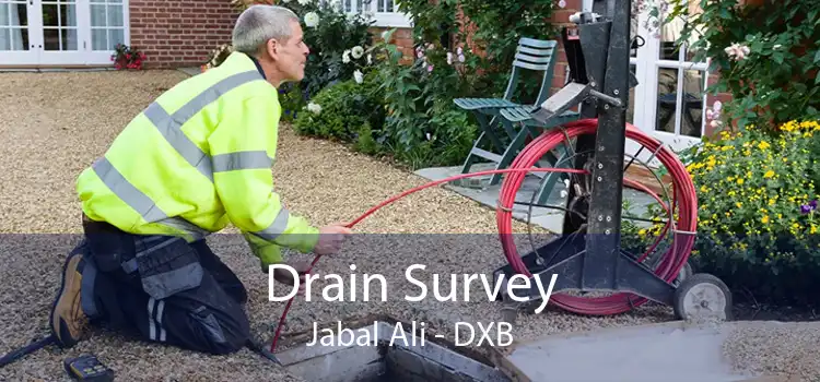 Drain Survey Jabal Ali - DXB