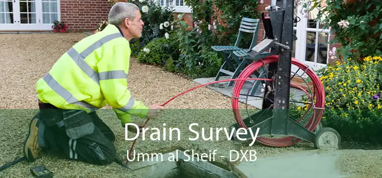 Drain Survey Umm al Sheif - DXB