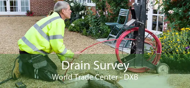 Drain Survey World Trade Center - DXB