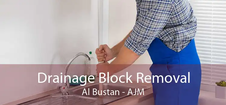 Drainage Block Removal Al Bustan - AJM