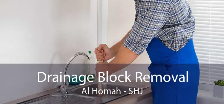 Drainage Block Removal Al Homah - SHJ