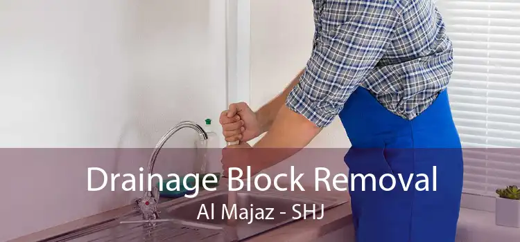 Drainage Block Removal Al Majaz - SHJ