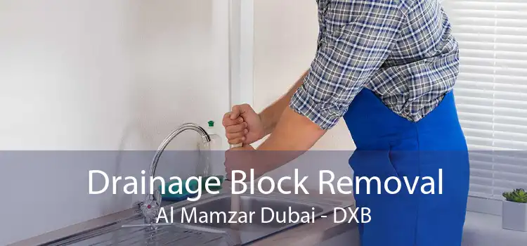 Drainage Block Removal Al Mamzar Dubai - DXB