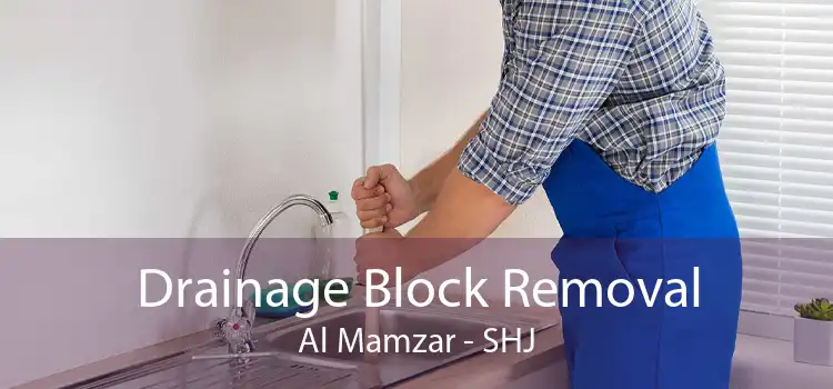 Drainage Block Removal Al Mamzar - SHJ