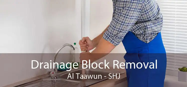 Drainage Block Removal Al Taawun - SHJ