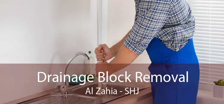 Drainage Block Removal Al Zahia - SHJ