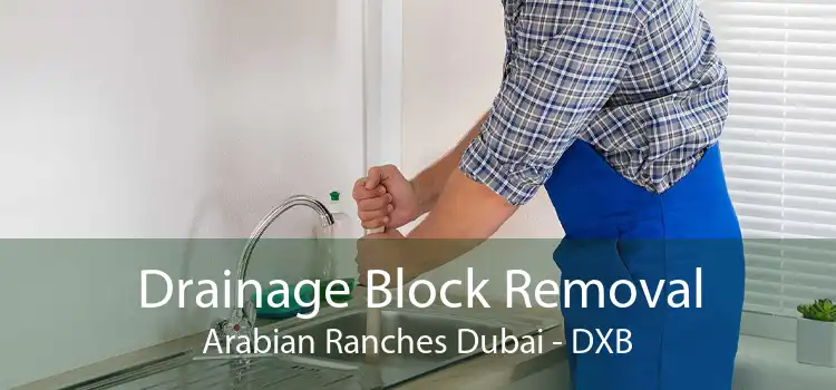 Drainage Block Removal Arabian Ranches Dubai - DXB
