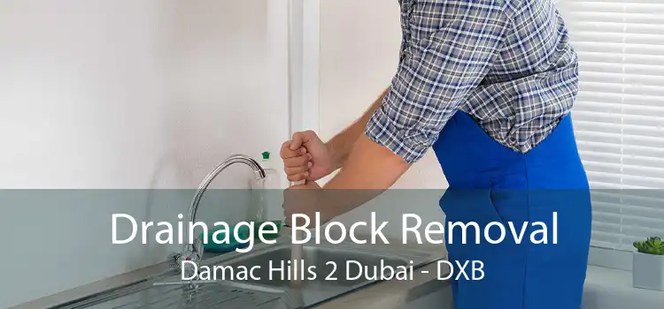 Drainage Block Removal Damac Hills 2 Dubai - DXB