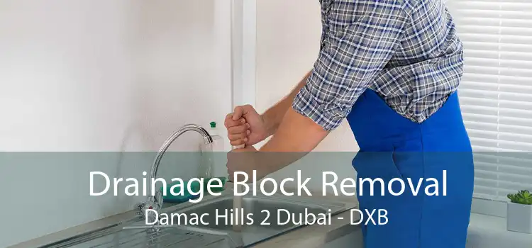 Drainage Block Removal Damac Hills 2 Dubai - DXB