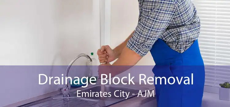 Drainage Block Removal Emirates City - AJM