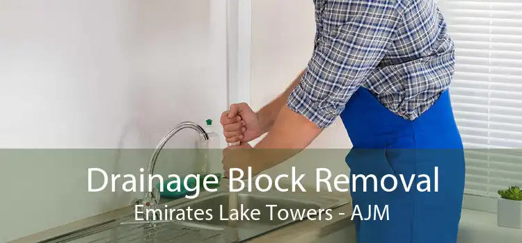 Drainage Block Removal Emirates Lake Towers - AJM