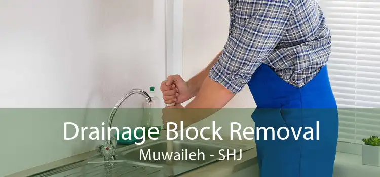 Drainage Block Removal Muwaileh - SHJ