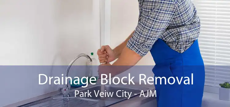 Drainage Block Removal Park Veiw City - AJM