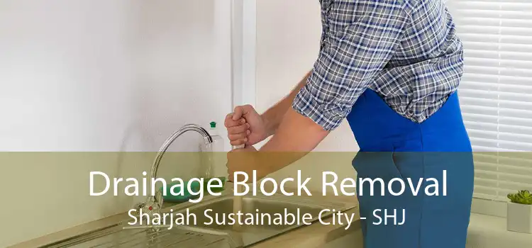 Drainage Block Removal Sharjah Sustainable City - SHJ