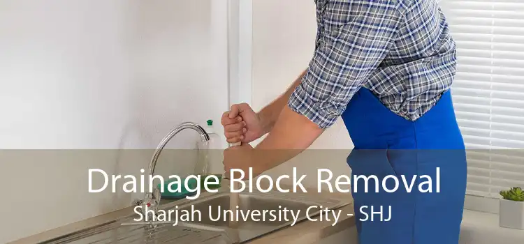 Drainage Block Removal Sharjah University City - SHJ