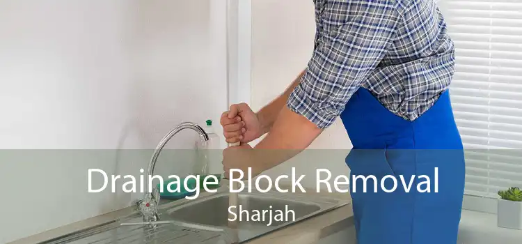 Drainage Block Removal Sharjah